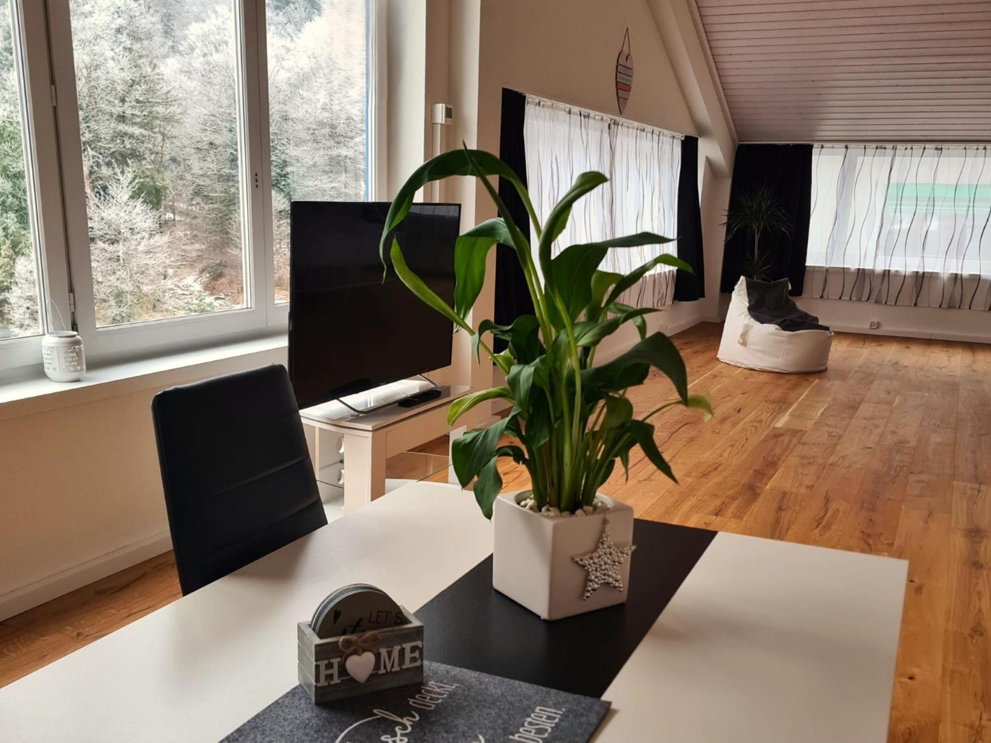 Muota River Loft & Muota Industry Apartment Near Stoos Muotathal Eksteriør billede